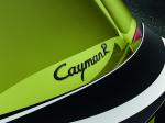 Porsche Cayman R 2011 года